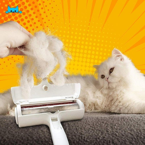 Rouleau anti-poils pour chat, simple et efficace